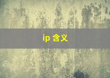 ip 含义